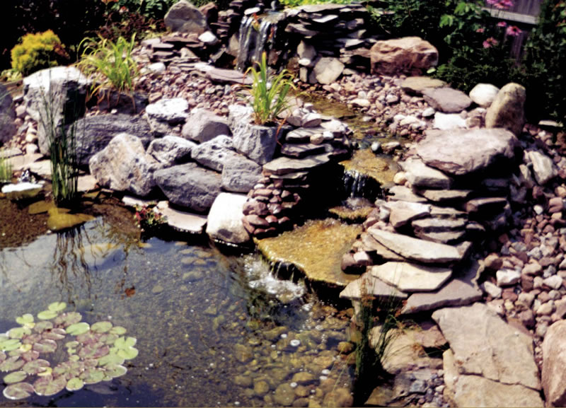 Water Garden Ponds