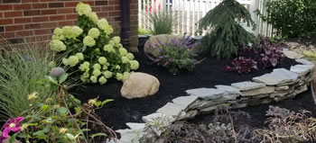 Hardscape