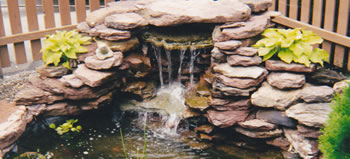 Ponds Waterfalls and Watergardens